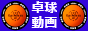 20091127235522239.png